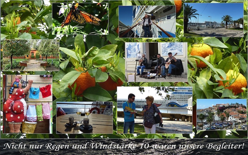 2013 Postkarte Kanaren